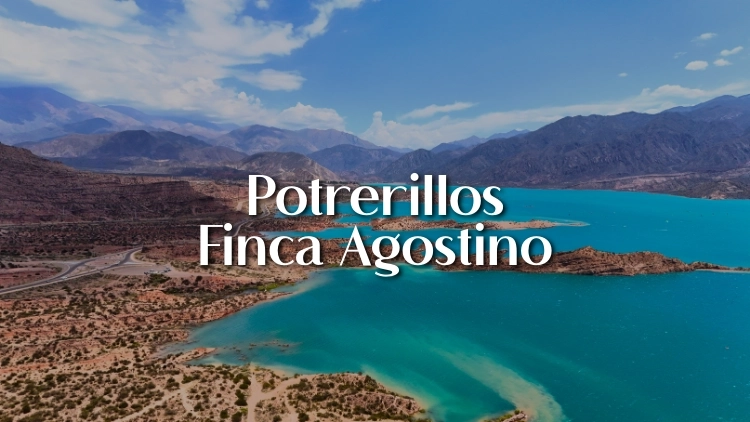 Potrerillos e Finca Agostino
